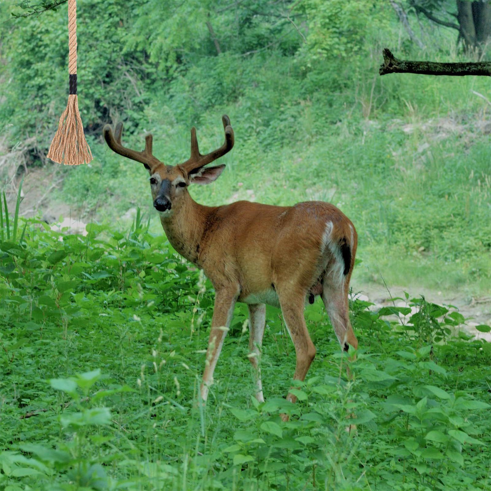 Deer Attractant Scent - 사슴 유인제 효과적인 장기 지속성 유인제
