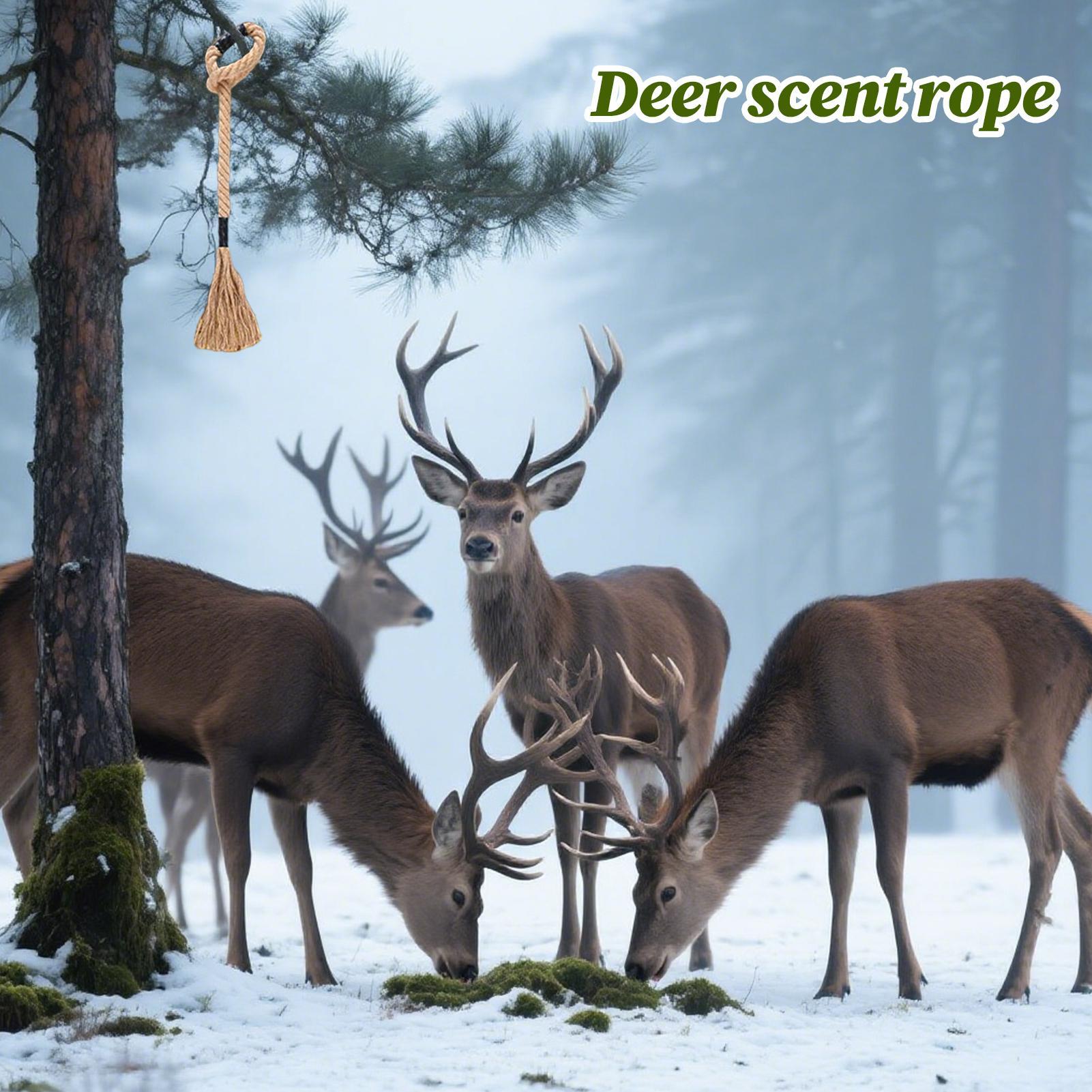 사슴 유인제 효과적인 장기 지속성 유인제 스크레이프 태 - Deer Attractant Scent 리뷰 및 가격